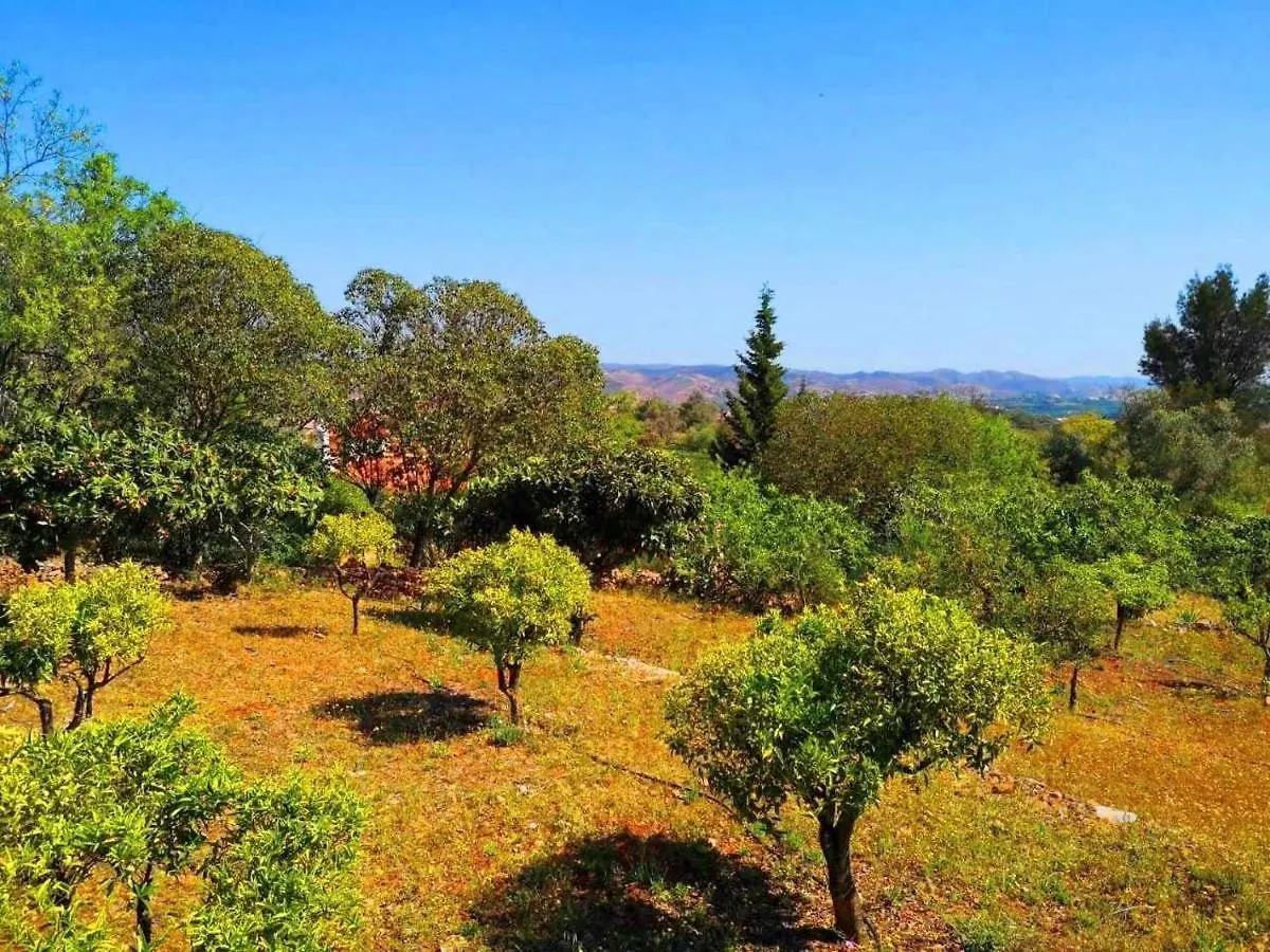 Villa Exclusive By Stay-Ici, Algarve Holiday Rental Silves