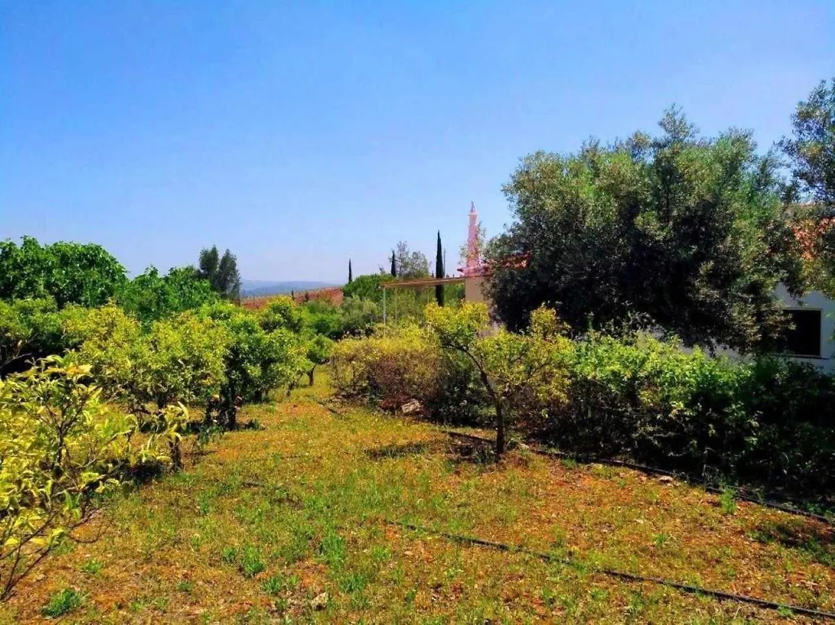 Villa Exclusive By Stay-Ici, Algarve Holiday Rental Silves